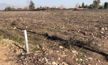 Venta Parcela 5000m2 en sector Oliveto, Talagante