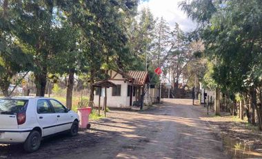Venta Parcela 5000m2, El Oliveto, Talagante