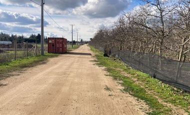 Venta Parcela 5000m2, El Oliveto, Talagante