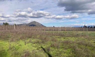 Venta Parcela 5000m2, El Oliveto, Talagante
