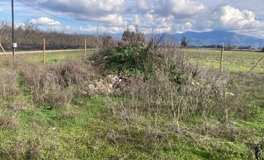 Venta Parcela 5000m2, El Oliveto, Talagante