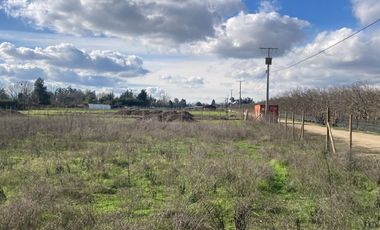 Venta Parcela 5000m2, El Oliveto, Talagante