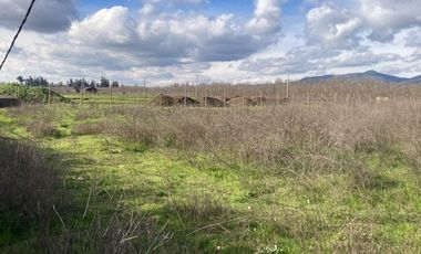 Venta Parcela 5000m2, El Oliveto, Talagante