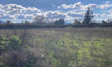 Venta Parcela 5000m2, El Oliveto, Talagante