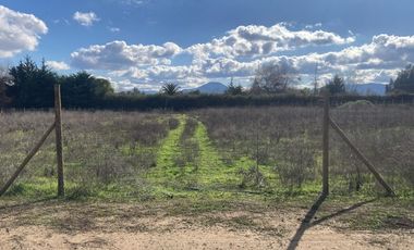 Venta Parcela 5000m2, El Oliveto, Talagante