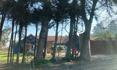 Venta Parcela 5000m2, El Oliveto, Talagante