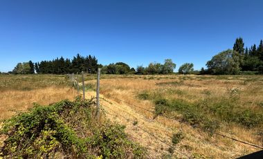 Parcelas agrícolas de 5.000M2 sector Rinconada de Cato, Chillán
