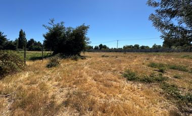 Parcelas agrícolas de 5.000M2 sector Rinconada de Cato, Chillán