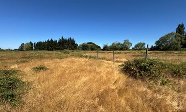 Parcelas agrícolas de 5.000M2 sector Rinconada de Cato, Chillán