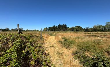 Parcelas agrícolas de 5.000M2 sector Rinconada de Cato, Chillán