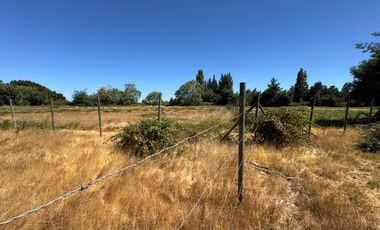 Parcelas agrícolas de 5.000M2 sector Rinconada de Cato, Chillán
