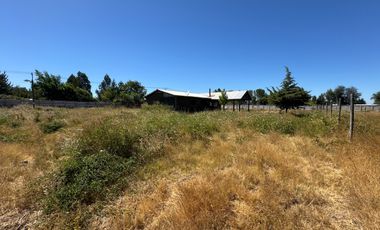 Parcelas agrícolas de 5.000M2 sector Rinconada de Cato, Chillán