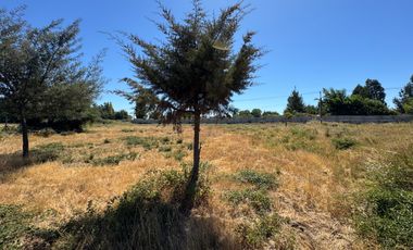 Parcelas agrícolas de 5.000M2 sector Rinconada de Cato, Chillán