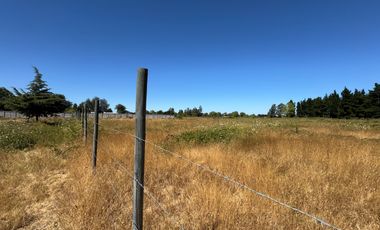 Parcelas agrícolas de 5.000M2 sector Rinconada de Cato, Chillán
