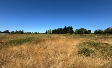 Parcelas agrícolas de 5.000M2 sector Rinconada de Cato, Chillán