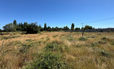Parcelas agrícolas de 5.000M2 sector Rinconada de Cato, Chillán