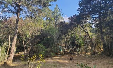 GUARNE ANTIOQUIA SECTOR PIEDRAS BLANCAS - GUARNE - LOTE EN VENTA