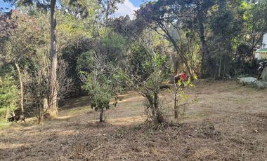 GUARNE ANTIOQUIA SECTOR PIEDRAS BLANCAS - GUARNE - LOTE EN VENTA