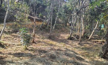 GUARNE ANTIOQUIA SECTOR PIEDRAS BLANCAS - GUARNE - LOTE EN VENTA