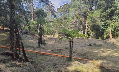 GUARNE ANTIOQUIA SECTOR PIEDRAS BLANCAS - GUARNE - LOTE EN VENTA