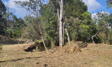 GUARNE ANTIOQUIA SECTOR PIEDRAS BLANCAS - GUARNE - LOTE EN VENTA