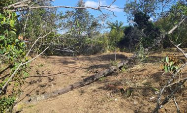 GUARNE ANTIOQUIA SECTOR PIEDRAS BLANCAS - GUARNE - LOTE EN VENTA