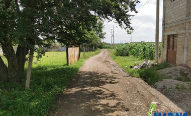 Terreno en Colonia Jalpan Ampliación Yecapixteca, Yecapixtla