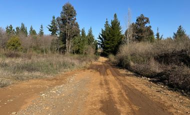 Parcela de 5.000M2 sector El Cardal, comuna Pinto