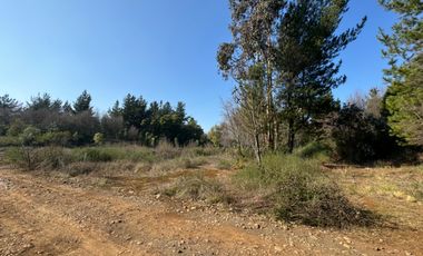 Parcela de 5.000M2 sector El Cardal, comuna Pinto