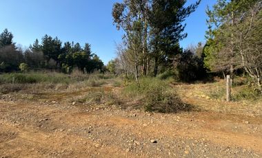 Parcela de 5.000M2 sector El Cardal, comuna Pinto