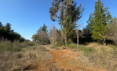 Parcela de 5.000M2 sector El Cardal, comuna Pinto