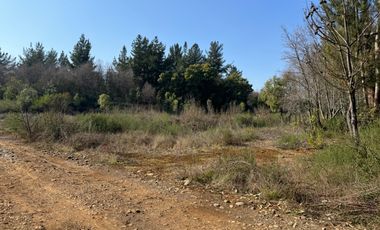 Parcela de 5.000M2 sector El Cardal, comuna Pinto