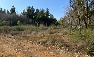 Parcela de 5.000M2 sector El Cardal, comuna Pinto