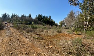 Parcela de 5.000M2 sector El Cardal, comuna Pinto