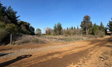 Parcela de 5.000M2 sector El Cardal, comuna Pinto