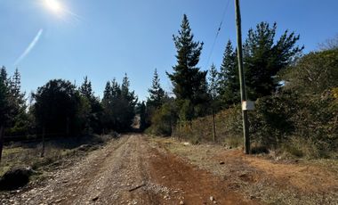 Parcela de 5.000M2 sector El Cardal, comuna Pinto