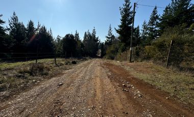 Parcela de 5.000M2 sector El Cardal, comuna Pinto