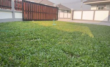 Selling a single house, San Sai Luang, only 3 houses left, great price, area 60-70 sq.w., lots of freebies