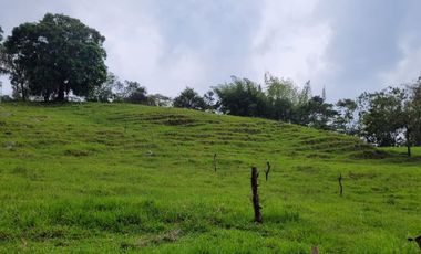 VENTA FINCA CHINACOTA