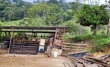 VENTA FINCA CHINACOTA