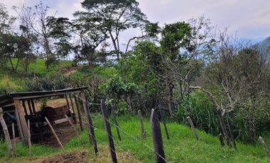 VENTA FINCA CHINACOTA