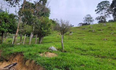 VENTA FINCA CHINACOTA