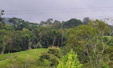 VENTA FINCA CHINACOTA