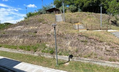 RENTA DE APARTAMENTO ALLEGRO CARTAGO VALLE