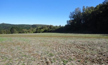 Campo con Casa 150 Ha Aprox. A 11 Km. Osorno   $ 2.247.000.000.