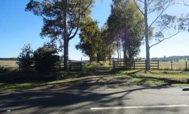 Campo con Casa 150 Ha Aprox. A 11 Km. Osorno   $ 2.247.000.000.
