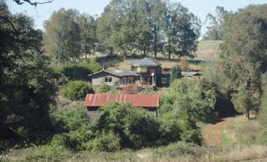 Campo con Casa 150 Ha Aprox. A 11 Km. Osorno   $ 2.247.000.000.