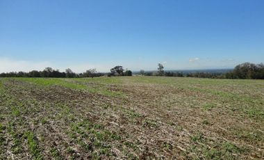 Campo con Casa 150 Ha Aprox. A 11 Km. Osorno   $ 2.247.000.000.