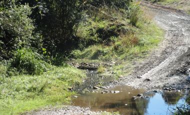 Campo con Casa 150 Ha Aprox. A 11 Km. Osorno   $ 2.247.000.000.