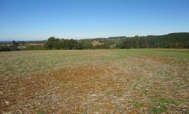 Campo con Casa 150 Ha Aprox. A 11 Km. Osorno   $ 2.247.000.000.